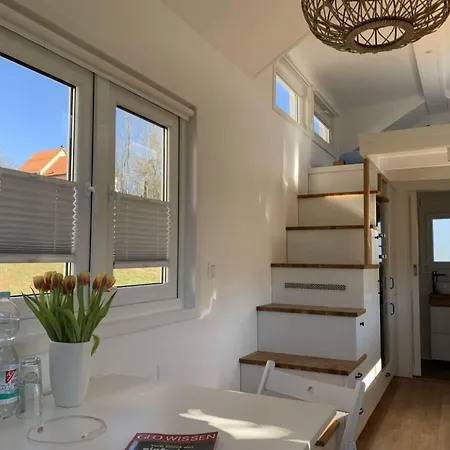 Holiday Tiny House *